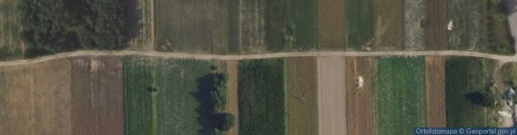 Zdjęcie satelitarne Sucha ul.