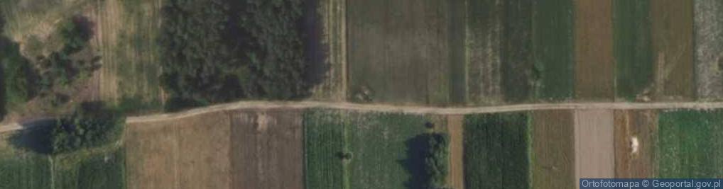 Zdjęcie satelitarne Sucha ul.