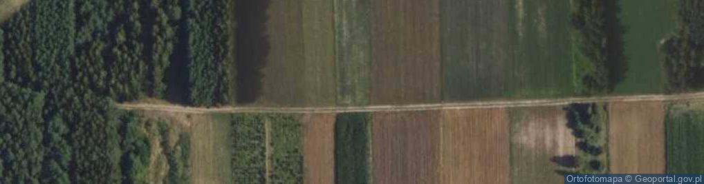 Zdjęcie satelitarne Sucha ul.