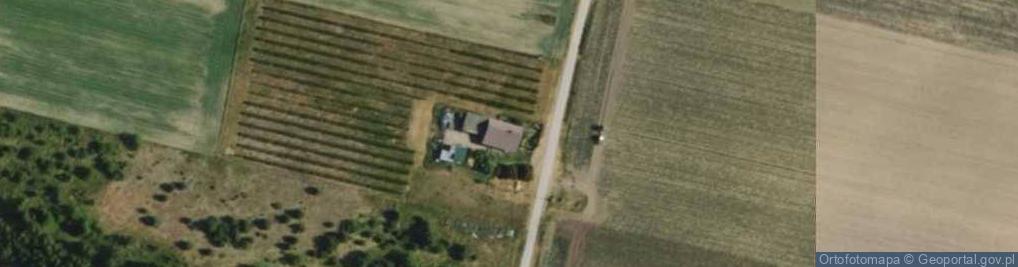 Zdjęcie satelitarne Suliszew ul.