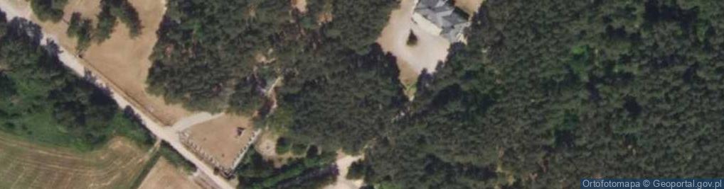 Zdjęcie satelitarne Surażska ul.