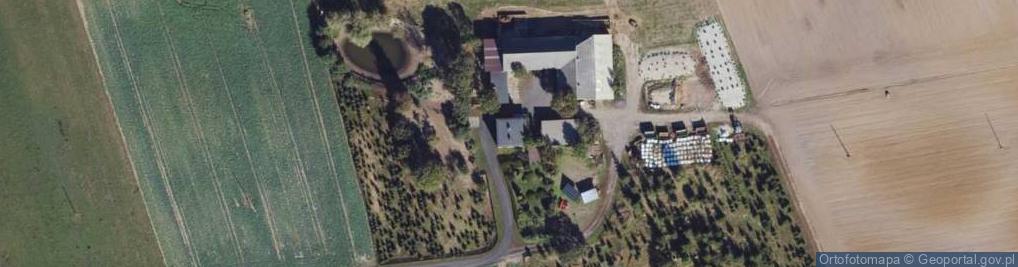 Zdjęcie satelitarne św. Antoniego ul.