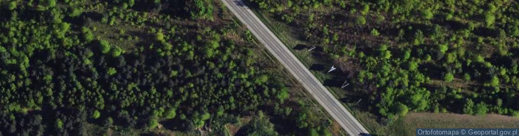 Zdjęcie satelitarne św. Rocha ul.