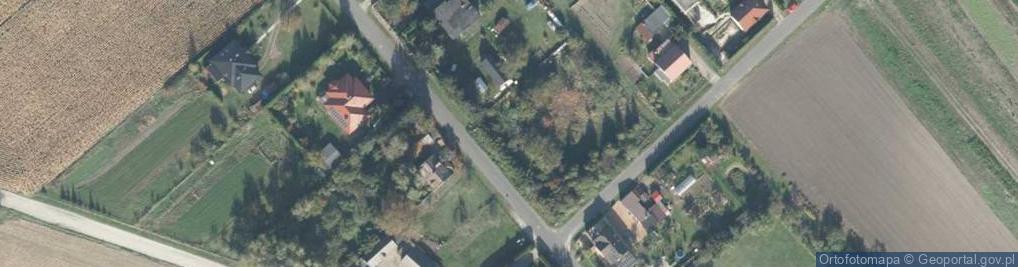 Zdjęcie satelitarne Świgonia Józefa ul.
