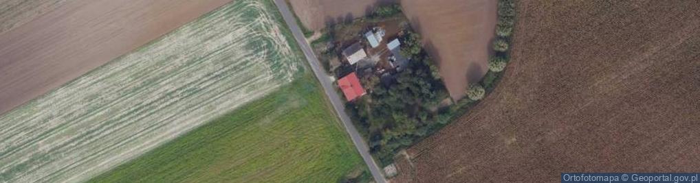 Zdjęcie satelitarne św. Rocha ul.