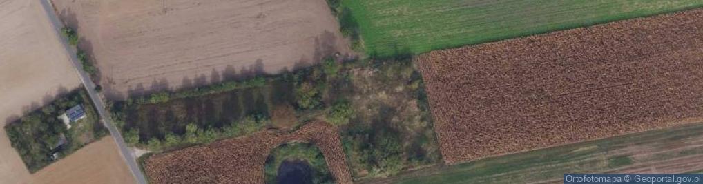 Zdjęcie satelitarne św. Rocha ul.