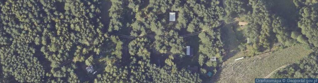 Zdjęcie satelitarne Świerkowa ul.
