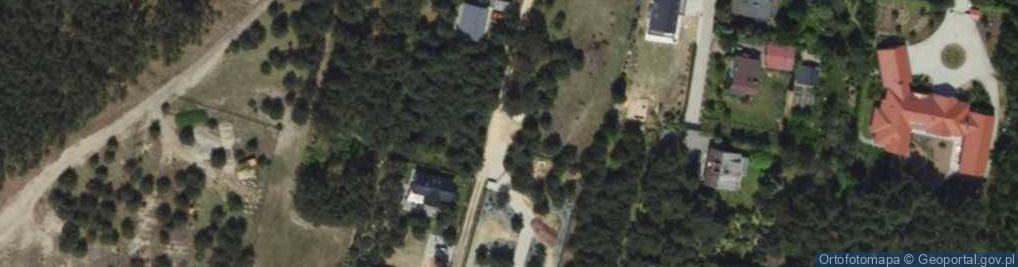 Zdjęcie satelitarne Świętej Puszczy ul.