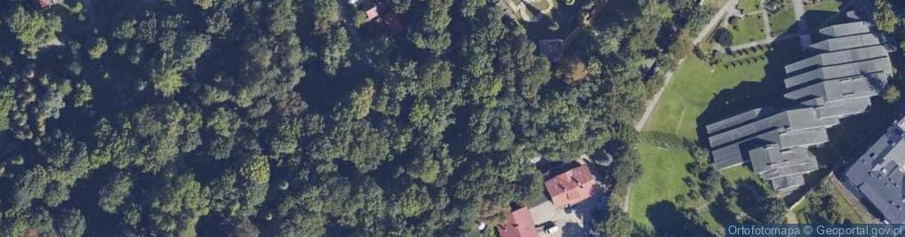 Zdjęcie satelitarne św. Królowej Jadwigi ul.