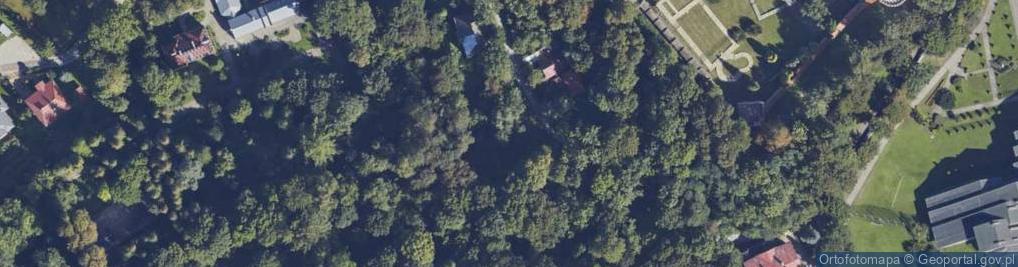 Zdjęcie satelitarne św. Królowej Jadwigi ul.