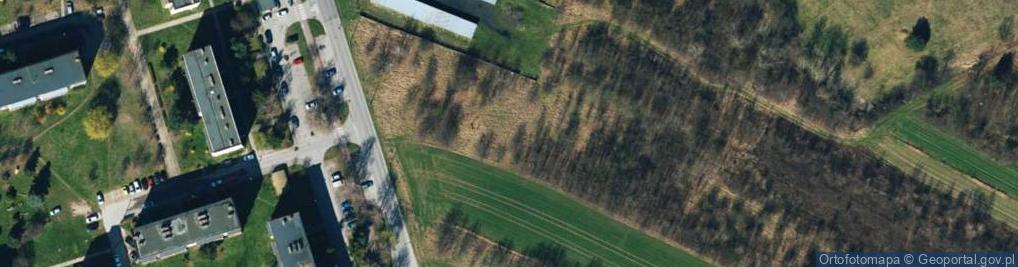 Zdjęcie satelitarne św. Królowej Jadwigi ul.