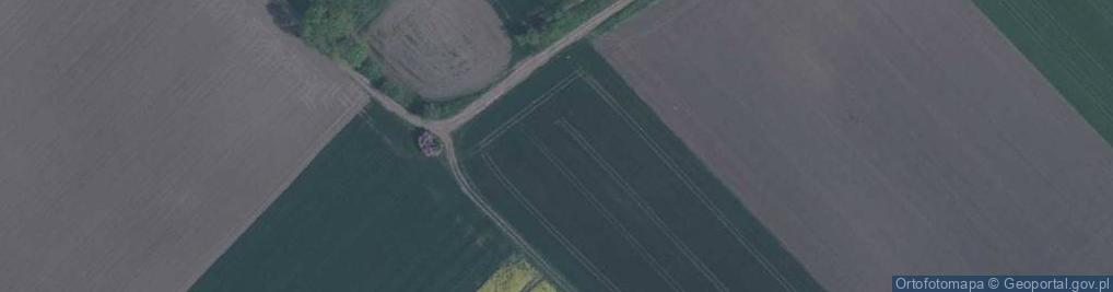 Zdjęcie satelitarne św. Krzyża ul.