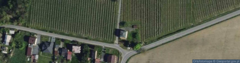Zdjęcie satelitarne św. Antoniego ul.