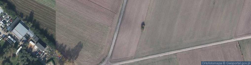 Zdjęcie satelitarne Świerkowa ul.