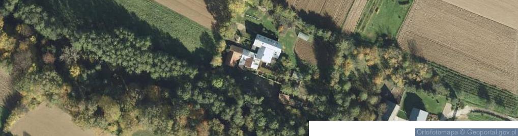 Zdjęcie satelitarne Świebodzin ul.