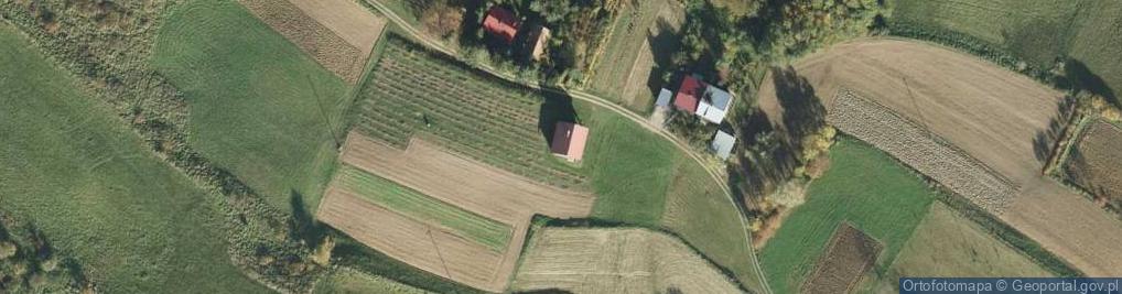 Zdjęcie satelitarne Świebodzin ul.
