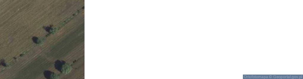 Zdjęcie satelitarne Świniary ul.