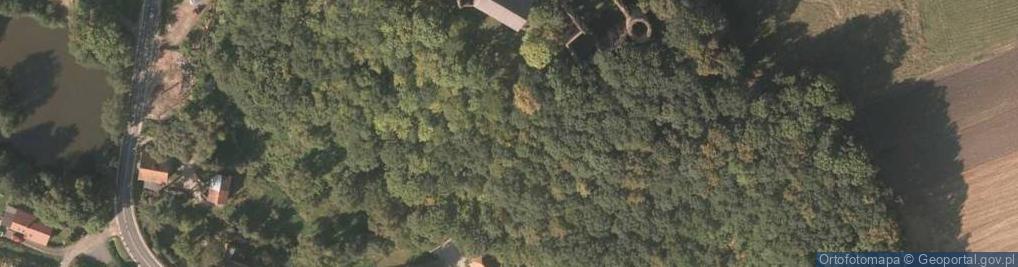 Zdjęcie satelitarne Świny ul.