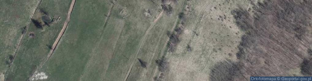 Zdjęcie satelitarne Swierkowa ul.