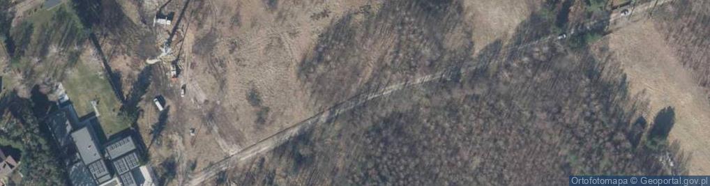 Zdjęcie satelitarne Synów Pułku ul.