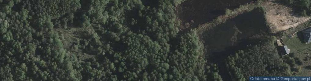 Zdjęcie satelitarne Sygnałowa ul.