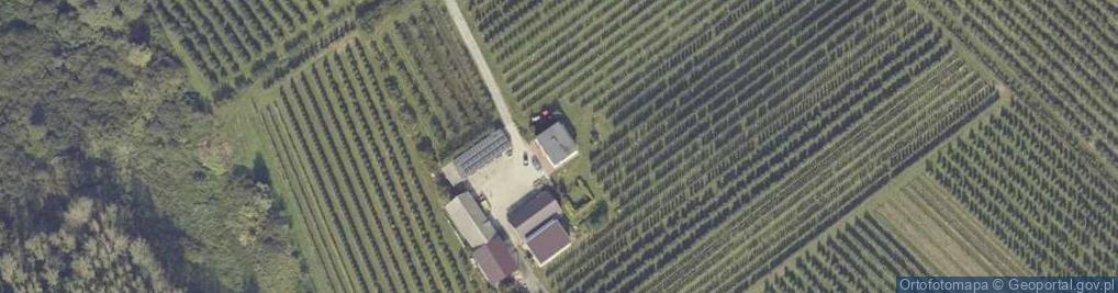 Zdjęcie satelitarne Sycewo ul.