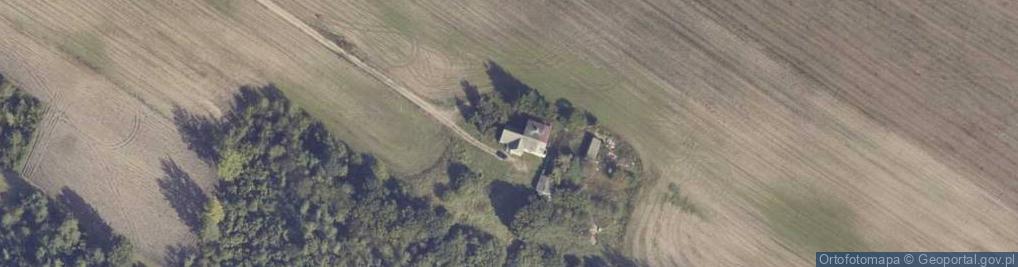 Zdjęcie satelitarne Synogać ul.