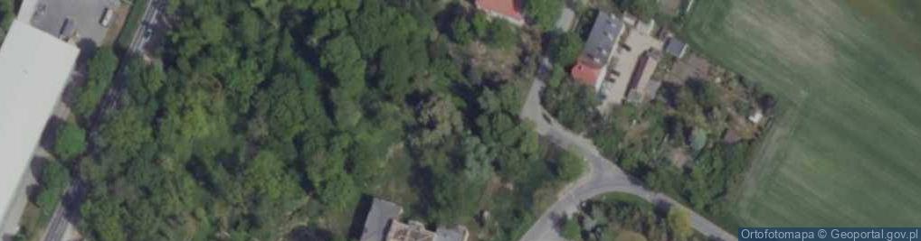 Zdjęcie satelitarne Szkolna ul.