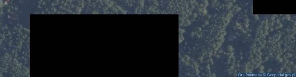 Zdjęcie satelitarne Szyszkowa ul.