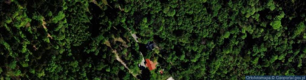 Zdjęcie satelitarne Szkolna ul.