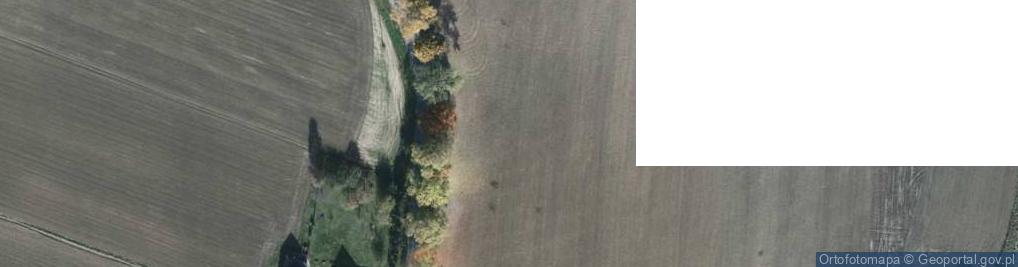 Zdjęcie satelitarne Szkolna ul.