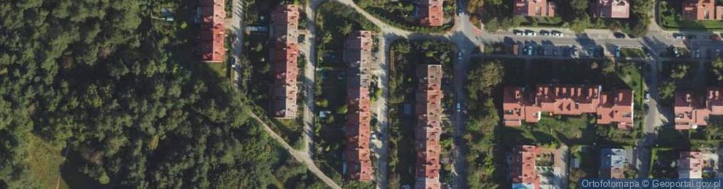 Zdjęcie satelitarne Szafranowa ul.