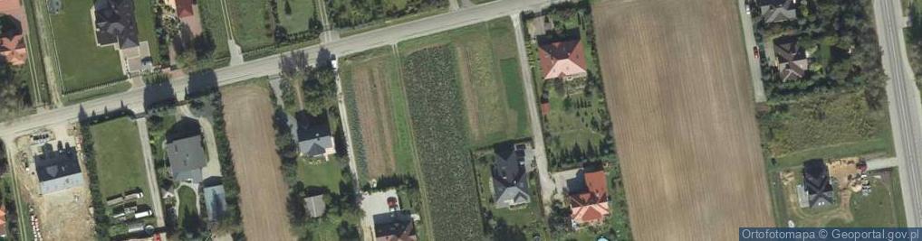 Zdjęcie satelitarne Szkolna ul.