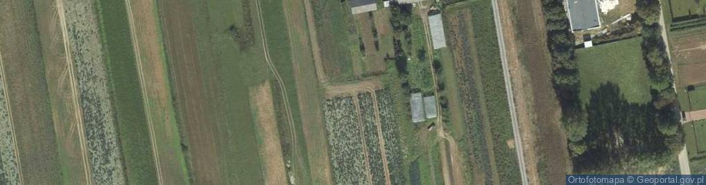 Zdjęcie satelitarne Szkolna ul.