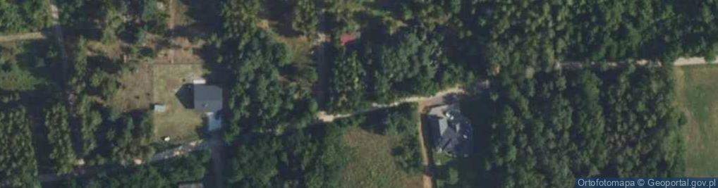 Zdjęcie satelitarne Szkocka ul.