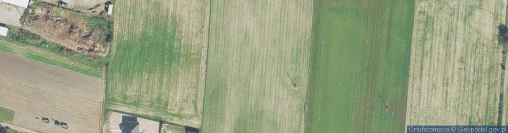 Zdjęcie satelitarne Szarych Szeregów ul.