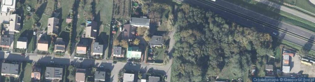 Zdjęcie satelitarne Szewska ul.