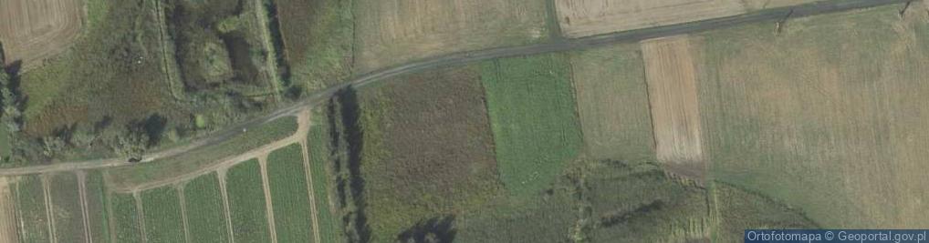 Zdjęcie satelitarne Szkolna ul.