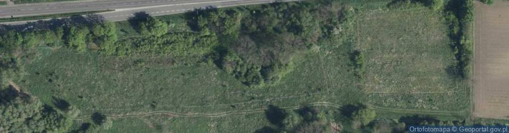 Zdjęcie satelitarne Szymborskiej Wisławy ul.