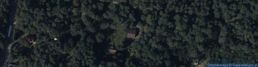 Zdjęcie satelitarne Szpitalna ul.