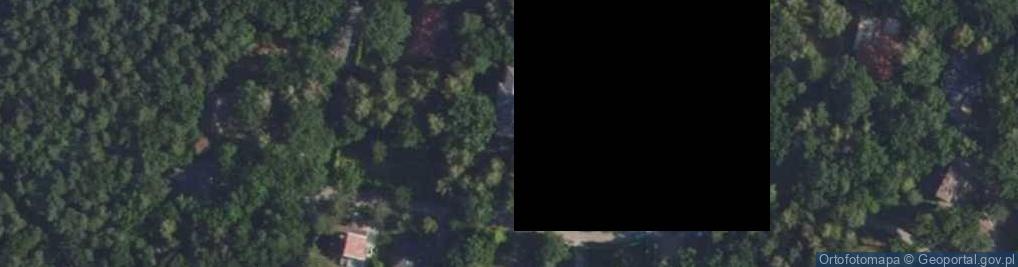 Zdjęcie satelitarne Szczygla ul.