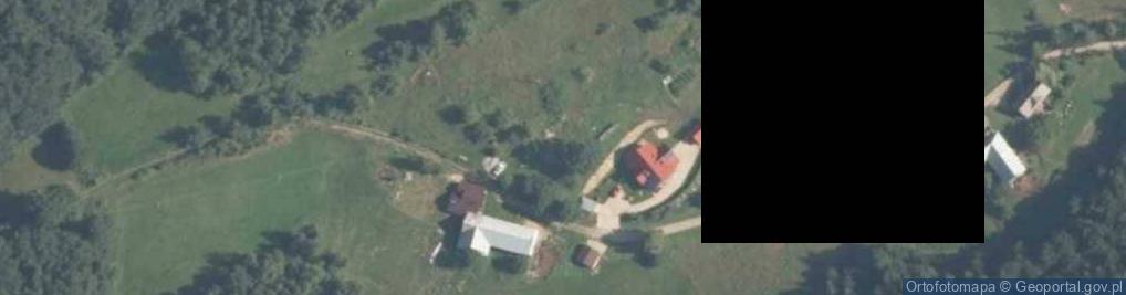 Zdjęcie satelitarne Szczawa ul.