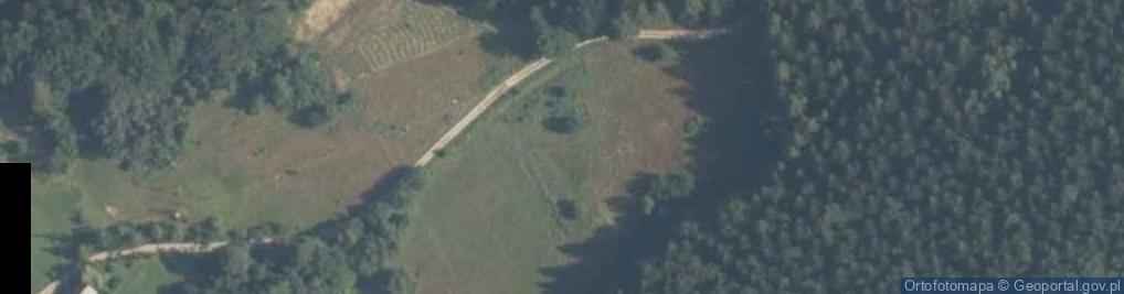 Zdjęcie satelitarne Szczawa ul.