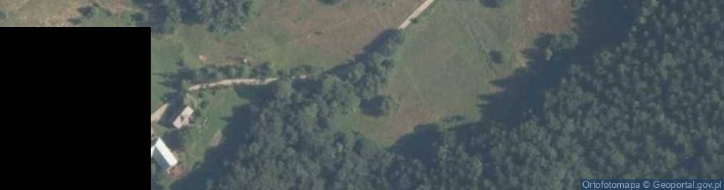 Zdjęcie satelitarne Szczawa ul.