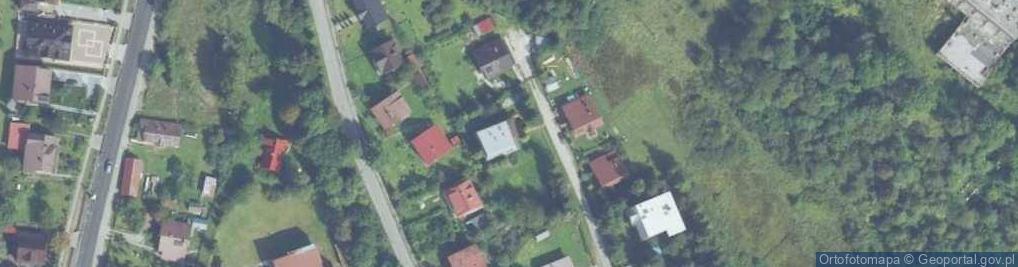 Zdjęcie satelitarne Szczawa ul.