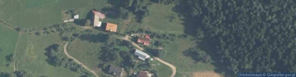 Zdjęcie satelitarne Szczawa ul.