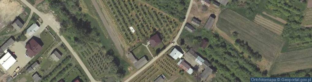 Zdjęcie satelitarne Szczekarków ul.