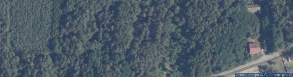 Zdjęcie satelitarne Szkolna ul.