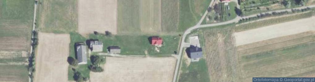 Zdjęcie satelitarne Szyk ul.