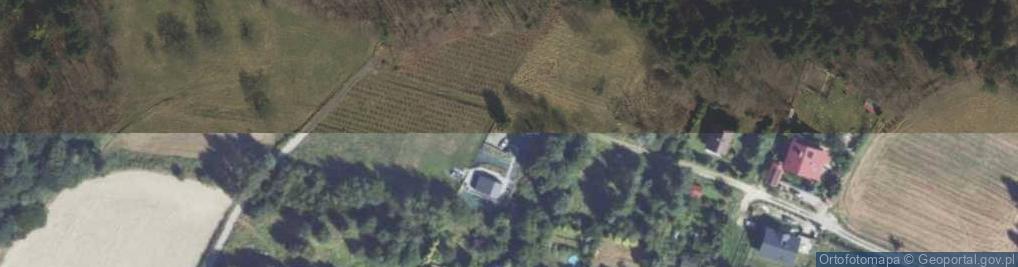 Zdjęcie satelitarne Szyk ul.